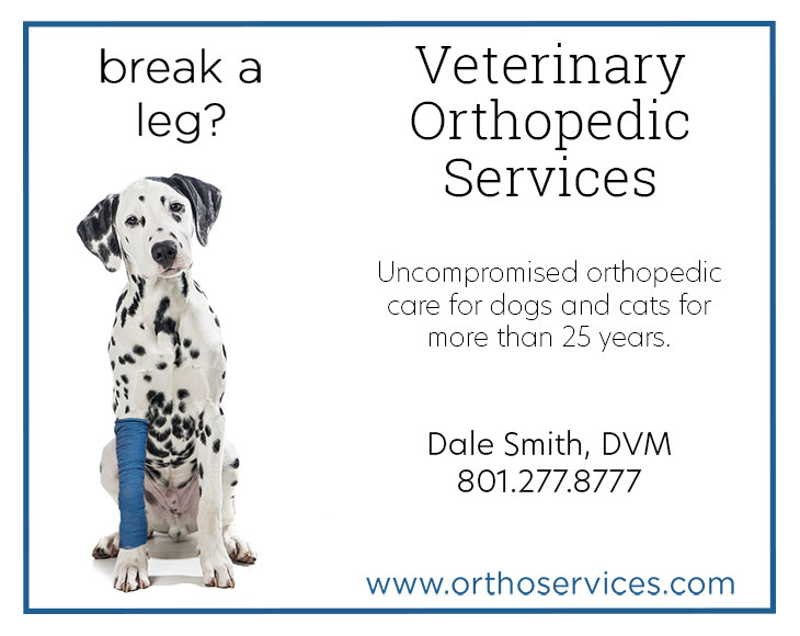 Veterinary Orthopedic Services